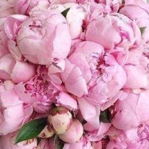 Meet your Posher, Irina